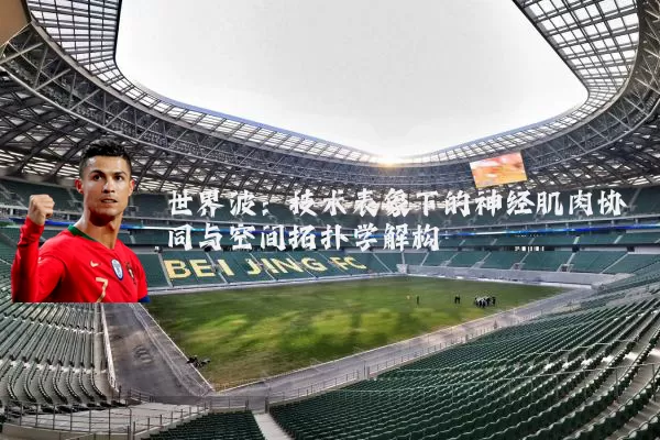世界波：技术表象下的神经肌肉协同与空间拓扑学解构